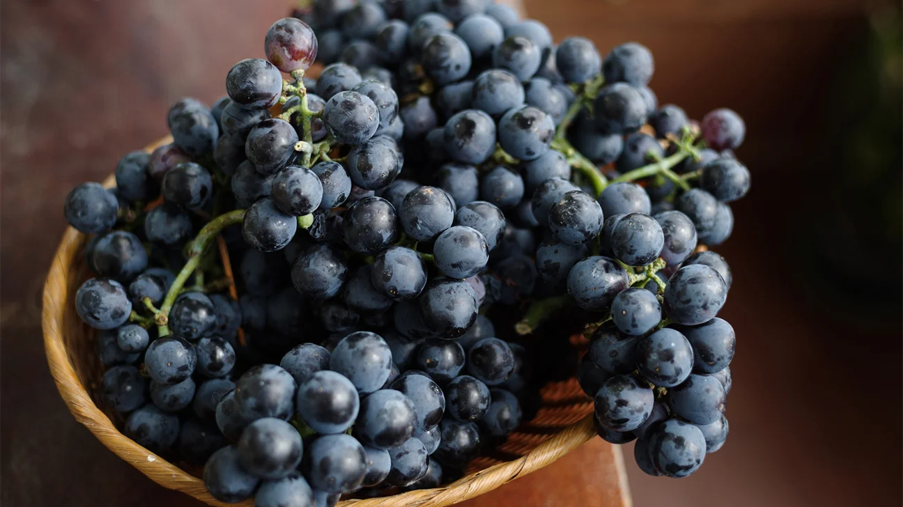 black-grapes-1296x728-header